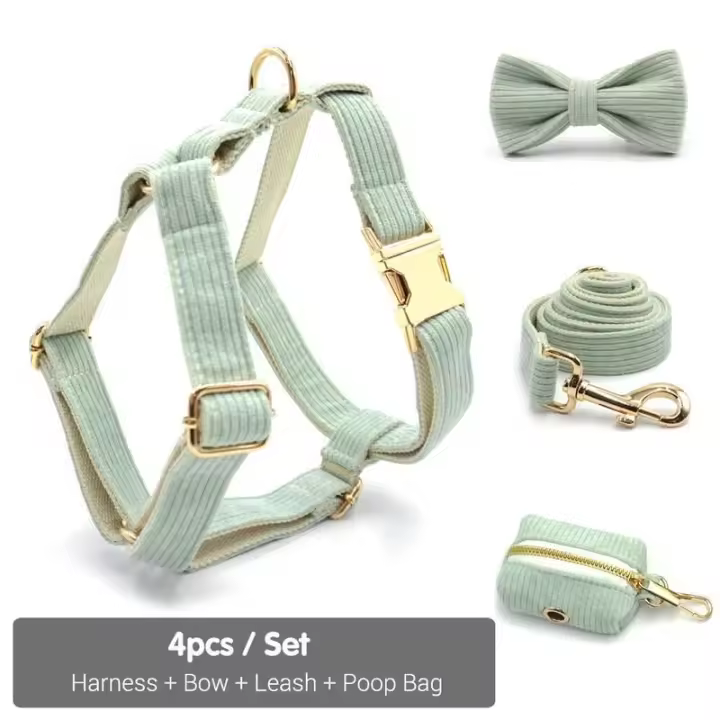 Collar Pana Verde Mint, personalizado, antipérdida, para Perros Pequeños, medianos y grandes, elegante, Conjunto de Correa - 1