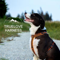 Truelove-arnés reflectante para perro, diseño de entrenamiento militar táctico, neopreno acolchado, malla cómoda ajustable, TLH6371 - details 0