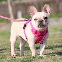 Arnés de tracción con rayas reflectantes para mascotas, antitirones conjunto de cuerda, Collar de perro, correa de pecho - details 8