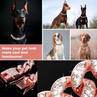 Cadena para perros decorada con diamantes de imitación, 1 collar de arneses para mascotas con hebilla segura, accesorios de moda para mascotas para perros pequeños, medianos y grandes, cosas para perros, productos para mascotas, artículos esenciales para - details 8