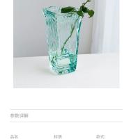 Florero de vidrio grueso transparente, florero creativo Simple, flores levantadas en agua, Brote seco, sala de estar, decoración del hogar - details 2