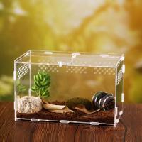 Contenedor acrílico profesional para lagarto, ranas, incubadora de insectos, terrarios, caja de cría, incubadora de reptiles, suministros para insectos - details 1