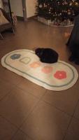Alfombra suave y esponjosa para dormitorio de niños, alfombrilla antideslizante para habitación de niños, alfombrilla larga para sala de estar - details 2
