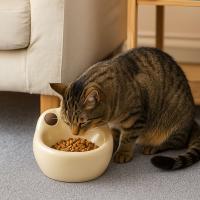 Cuenco de cerámica de gran capacidad para gatos, cuenco antivuelco antideslizante, forma de rana, alimentador para beber para gatos, comida para mascotas - details 1