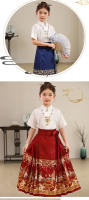 Conjunto de falda con cara de caballo para niños Hanfu, mejora del sistema Ming para niñas de estilo chino, primavera diaria para padres e hijos en las cuatro estaciones y - details 9
