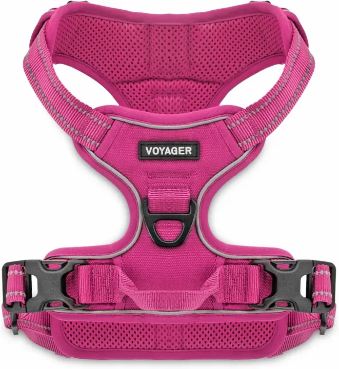 Best Pet Supplies Voyager por Mejor Mascota Suministros – Arnés Frontal Ajustable sin Tirar con tecnología Reflectante de 3 m - 1