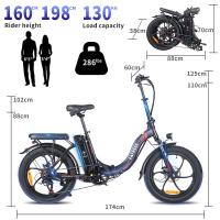 FAFREES F20 Bicicleta Eléctrica, Motor de 250W, Batería de 36V 16Ah, Neumáticos Anchos de 20*3 pulgadas, Velocidad Máxima de 25km/h, Autonomía de 60-80km, SHIMANO de 7 Velocidades, Frenos de Disco Mecánicos, Tracción Trasera, Pantalla LCD- Gris - details 11