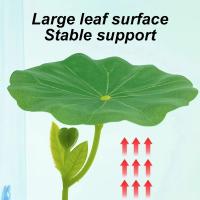 Hamaca de hoja verde para peces Betta, decoración segura para acuario reductora de estrés con ventosa para decoración de plantas falsas, 1 ud. - details 5