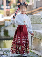 Conjunto de Falda Hanfu para Niñas Otoño 2025 Traje de Estilo Chino Antiguo para Actuaciones de Recitación Zapatos y Ropa - details 29