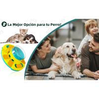 Juguetes Interactivos de Alimentación Lenta