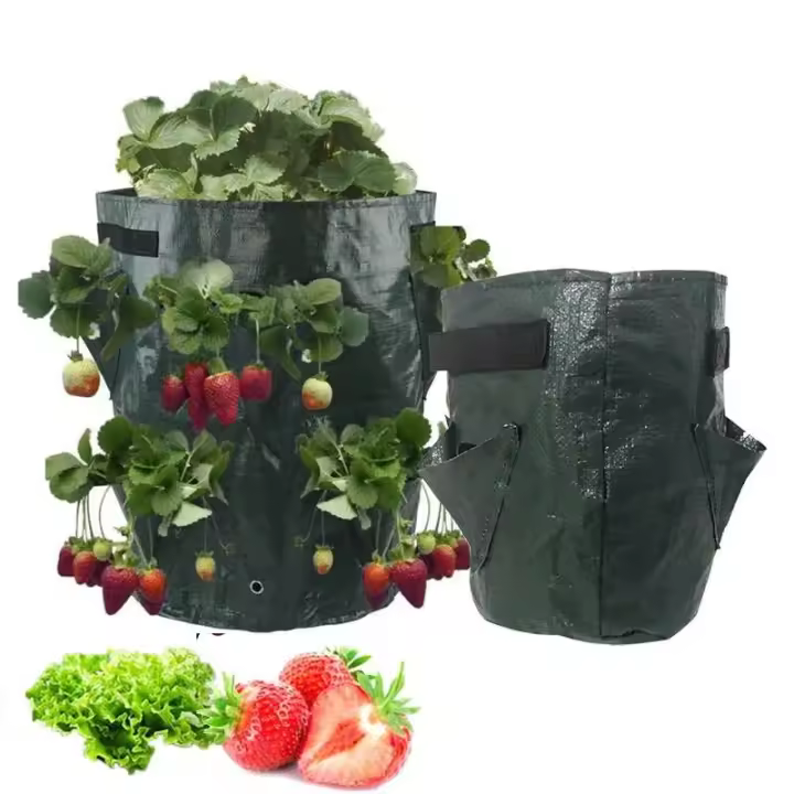 Bolsa de fresas de PE de 5 galones, 7 galones y 10 galones, jardinería de patatas ETA, hogar, jardín, flores, verduras, plantación de tomates - 1