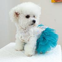 Vestido de princesa para perros y mascotas, Hada y mariposa, ropa para mascotas, vestido de gasa de encaje para perros, vestido de hadas para mascotas encantador y agradable para la piel - details 11