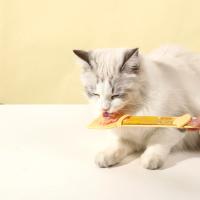 Cuchara de Alimentación para Gatos Herramienta de Alimentación para Mascotas para Alimentos Húmedos - details 12