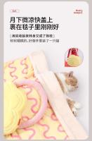 【 petstar_ Box Set 】 Palo de burla de juguete Auriculares para mascotas Manta Mooncake Paquete de regalo Universal para gatos y perros - details 2