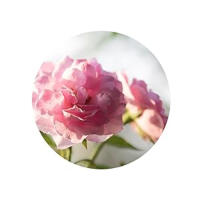 Calming Recipe from Nature