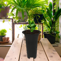 ETA de plástico alto para orquídeas, ETero doméstico con orificios laterales, 6 piezas. - details 2