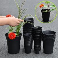 Maceta redonda negra para cultivo de plantas verdes profundas y gruesas, maceta para vivero de flores suculentas, decoración del hogar y jardín, 2/5/10 Uds. - details 0