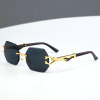Gafas De Sol Clásicas Vintage Sin Montura Poligonales De Metal, Con Patillas De Diseño De Leopardo, Para Hombres Y Mujeres - details 4