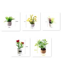 Planta verde, árbol, casa de muñecas en maceta, muebles naturales, hogar, juguete para niños, macetas, plantas de simulación - details 5