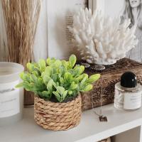 Plantas Artificiales de Eucalipto Pila de Césped Tejida de 11cm Material PE Decoración del Hogar - details 1