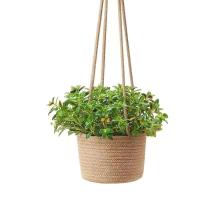 Plantas de jardines interiores, balcones exteriores jugosos, macetas colgantes, cestas tejidas - details 8