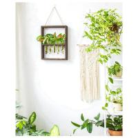 Plantas colgantes montadas en la pared, tubo de ensayo, flor, brote, Terrario de vidrio, marco de madera para el hogar, jardín, decoración de boda - details 3