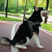 Chaleco con arnés para caminar para mascotas de nailon, chaleco con correa para perro ajustable y resistente al desgaste con tiras reflectantes a prueba de explosiones - details 1