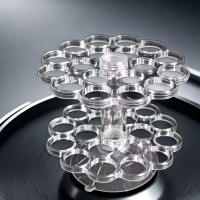 1 Juego de soporte giratorio Universal para arreglo de tallo de flor, herramienta de arreglo Floral Invisible, florero - details 6