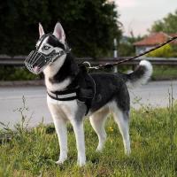 Funda protectora cuero boca perro, bozal de Metal ustable y transpirable mascotas, cesta humana antimordida, bozal, accesorios - details 1