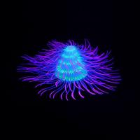 Acuario de silicona para paisajismo, plantas acuáticas artificiales coloridas con efecto fluorescente, árbol de Navidad suave, Coral, mesa - details 1