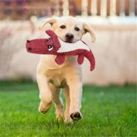 Juguete de Peluche de Lineno para Perros Crocodilo Interactivo Duro Juguete de Dientes Limpios para Mascotas Suministros de Limpieza para Mascotas - details 2
