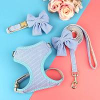 Set de 3 Arneses Transpirables para Perros Collar de Terciopelo Suave con Correa - details 41