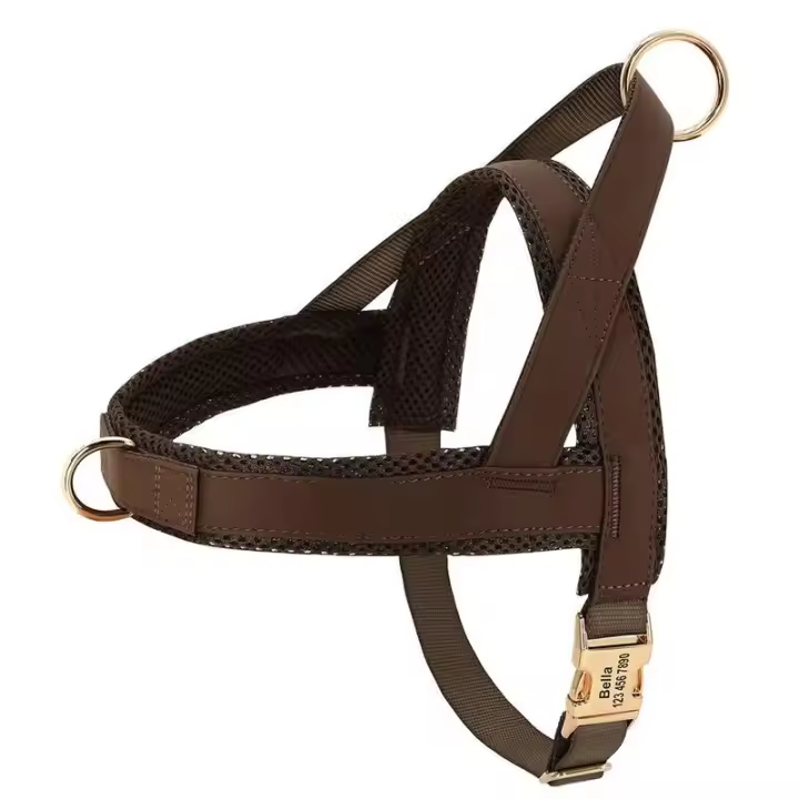Collar de cuero para perros, juego de correas, chaleco de malla para mascotas, identificación personalizada, cables para perros pequeños, medianos y grandes - 1