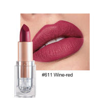 Labial Mate de Polvo de Frijol Nude 12 Colores, Descoloration No Fácil, Small Cube de Hielo, Herramienta de Cuidado de la Piel Facial - details 20