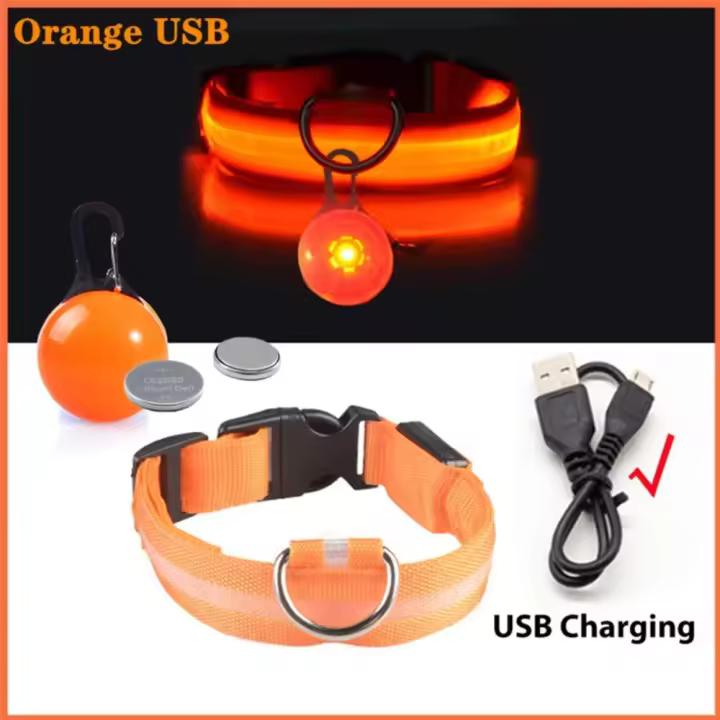 Collar de perro brillante con colgante intermitente, Collar de seguridad luminoso desmontable ajustable, prevención de pérdida USB, Collar LED nocturno - 1