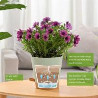 Planta de interior y exterior riego automático flor de alto drenaje ETA, con bandeja de almacenamiento, 7 pulgadas, 3 paquetes - details 1