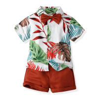 Mangas cortas de verano, camisas de flores, pantalones cortos para niños, conjunto casual de dos piezas, ropa de playa multicolor para bebés y niños - details 22