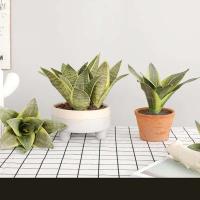 Plantas artificiales para decoración del jardín del hogar, rama de Sanseviria de plástico, bonsái DIY, plantas falsas para exteriores - details 7