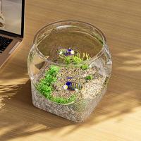Pecera redonda Ultra transparente, tanque de visualización extraíble de plástico, decoración decorativa de escritorio con vista de 360 grados, pequeño acuario, decoración de escritorio - details 4