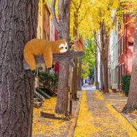 Perezoso de resina y árbol de ardilla colgante, bonitos adornos creativos de animales, estatua impermeable, exquisitas decoraciones para árboles, colgante para el hogar - details 7