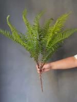 Plantas artificiales de material de PVC para el hogar, hojas de helecho persa verdes falsas, accesorios de decoración del hogar, 1 pieza - details 3