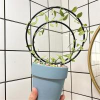 Juego de 3 enredados redondos para plantas trepadoras, marcos de metal para hiedra en maceta, soporte para plantas en macetas al aire libre, A - details 4