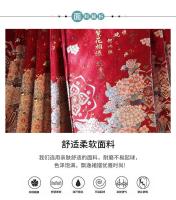 Hanfu, nueva falda con cara de caballo chino para niños, ropa estilo Tang de Año Nuevo para niñas, conjunto de temporada de primavera y otoño - details 10