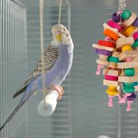 Juguetes para masticar loros, jaula de bloques de madera para morder, juguete divertido para masticar, escalar, morder, nudos de madera - details 3