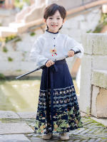 Conjunto de Falda Hanfu para Niñas Otoño 2025 Traje de Estilo Chino Antiguo para Actuaciones de Recitación Zapatos y Ropa - details 24