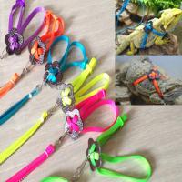Correa de Entrenamiento Ajustable para Reptiles Correa de Paseo para Mascotas - details 13