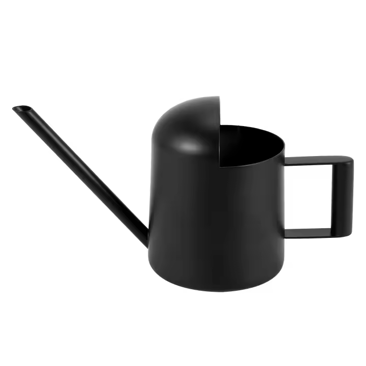 Mini regadera, regadera de acero inoxidable negra de 300 ml, regadera de plantas de boca larga, adecuada para plantas de jardín - 1