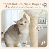 PAWZ Road Torre de Árbol para Gatos Poste de Afilado de Sisal para Gatos Pequeños - details 2