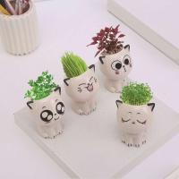 ETA de cerámica con mini gato, hermosas plantas de dibujos animados, ETA de escritorio, juguetes decorativos de bricolaje, educación científica, regalo escolar, 1 pieza. - details 3