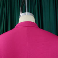 Conjunto de dos piezas de pantalón de pierna ancha plisado y top de manga acampanada de nueva moda de primavera para mujer D553 - details 8